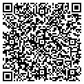 QR code with Curves contacts