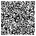 QR code with Curves contacts