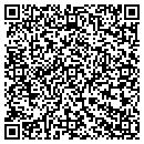 QR code with Cemetery Falls View contacts
