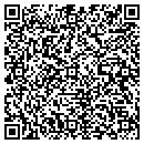 QR code with Pulaski Diner contacts