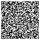 QR code with Punta Cana contacts