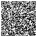 QR code with Xenium contacts