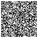 QR code with Public Image Clothing contacts
