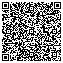 QR code with Print Gallery contacts