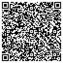 QR code with Custom Framing & More contacts