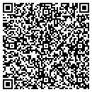 QR code with Ptero Motorsports contacts