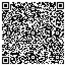 QR code with Premiere Properties contacts