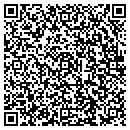 QR code with Capture It in Steel contacts