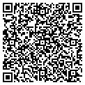 QR code with Hall's contacts