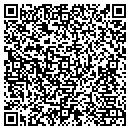 QR code with Pure Gymnastics contacts
