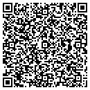 QR code with Progress Web contacts