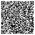 QR code with Bodyrok contacts