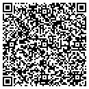 QR code with Precision Pride & Paint contacts