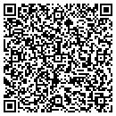 QR code with Pztex Properties LLC contacts