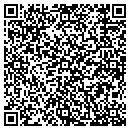 QR code with Publix Self Storage contacts