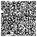 QR code with Publix Self Storage contacts