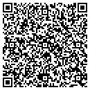 QR code with Public Storage contacts