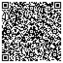 QR code with Public Storage contacts