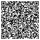 QR code with Precision Gem Cutting contacts