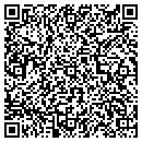 QR code with Blue Nile LLC contacts