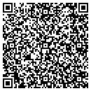 QR code with Cinema Blue Theatre contacts