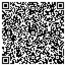 QR code with Public Storage contacts