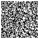QR code with Brian Seli Handyman contacts
