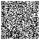 QR code with Pumpkin Patch Inc contacts