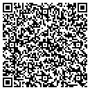 QR code with Public Storage contacts