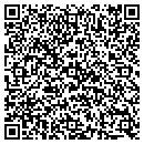 QR code with Public Storage contacts