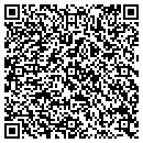 QR code with Public Storage contacts