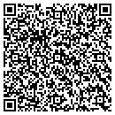 QR code with Public Storage contacts