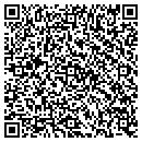 QR code with Public Storage contacts