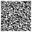 QR code with Public Storage contacts