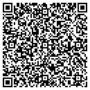 QR code with Chesapeake Embroidery contacts