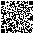 QR code with Andou contacts