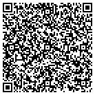 QR code with Professional It Solutions contacts