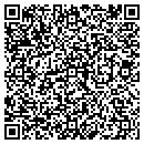 QR code with Blue Ribbon Computers contacts