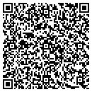 QR code with Public Storage contacts