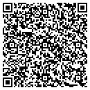 QR code with Public Storage contacts