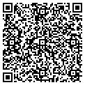 QR code with Mitel contacts