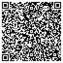 QR code with Precision Detailing contacts