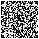 QR code with Cobden Store & Lock contacts