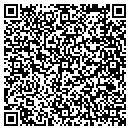 QR code with Colona Self Storage contacts