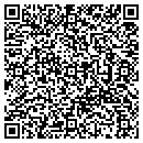 QR code with Cool Fish Service Inc contacts
