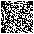 QR code with Public Storage contacts