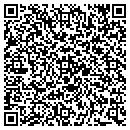 QR code with Public Storage contacts