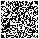 QR code with Public Storage contacts