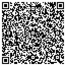 QR code with Public Storage contacts