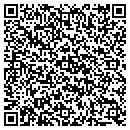 QR code with Public Storage contacts